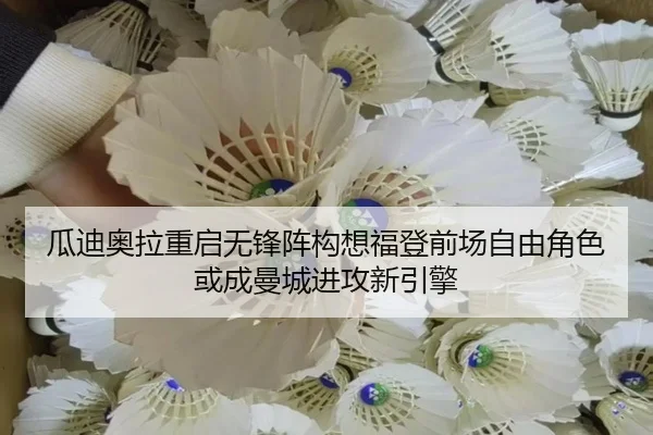 gua-di-ao-la-chong-qi-wu-feng-zhen-gou-xiang-fu-deng-qian-chang-zi-you-jue-se-huo-cheng-man-cheng-jin-gong-xin-yin-qing-2-422.jpg